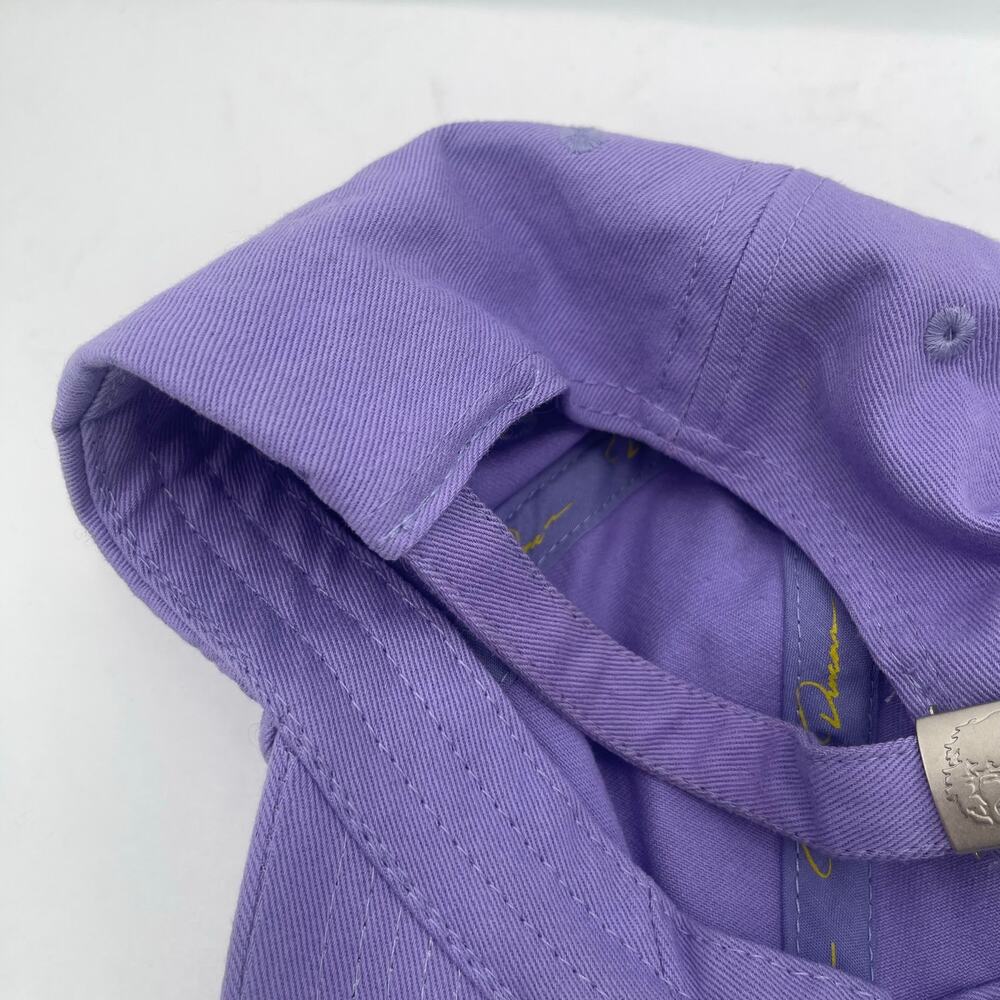 Danny Duncan Virginity Rocks Hat Purple Yellow 100% Cotton One Size Unisex - Picture 8 of 10